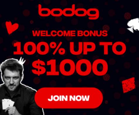Poker online, Casino and Sports betting in Bodog.